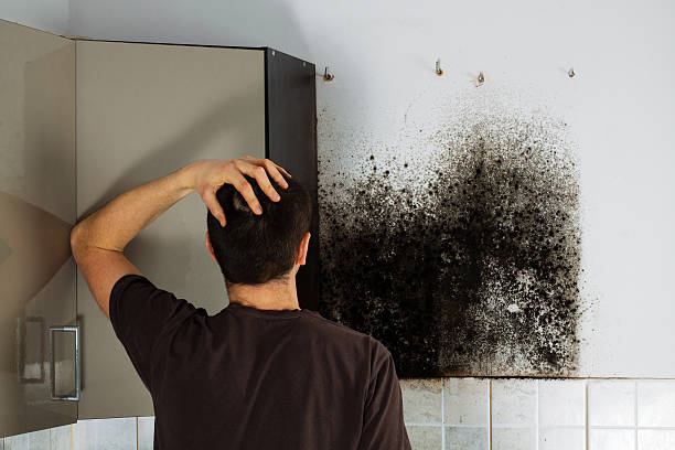 Best Office Mold Removal Services  in Mount Pleasant, NC